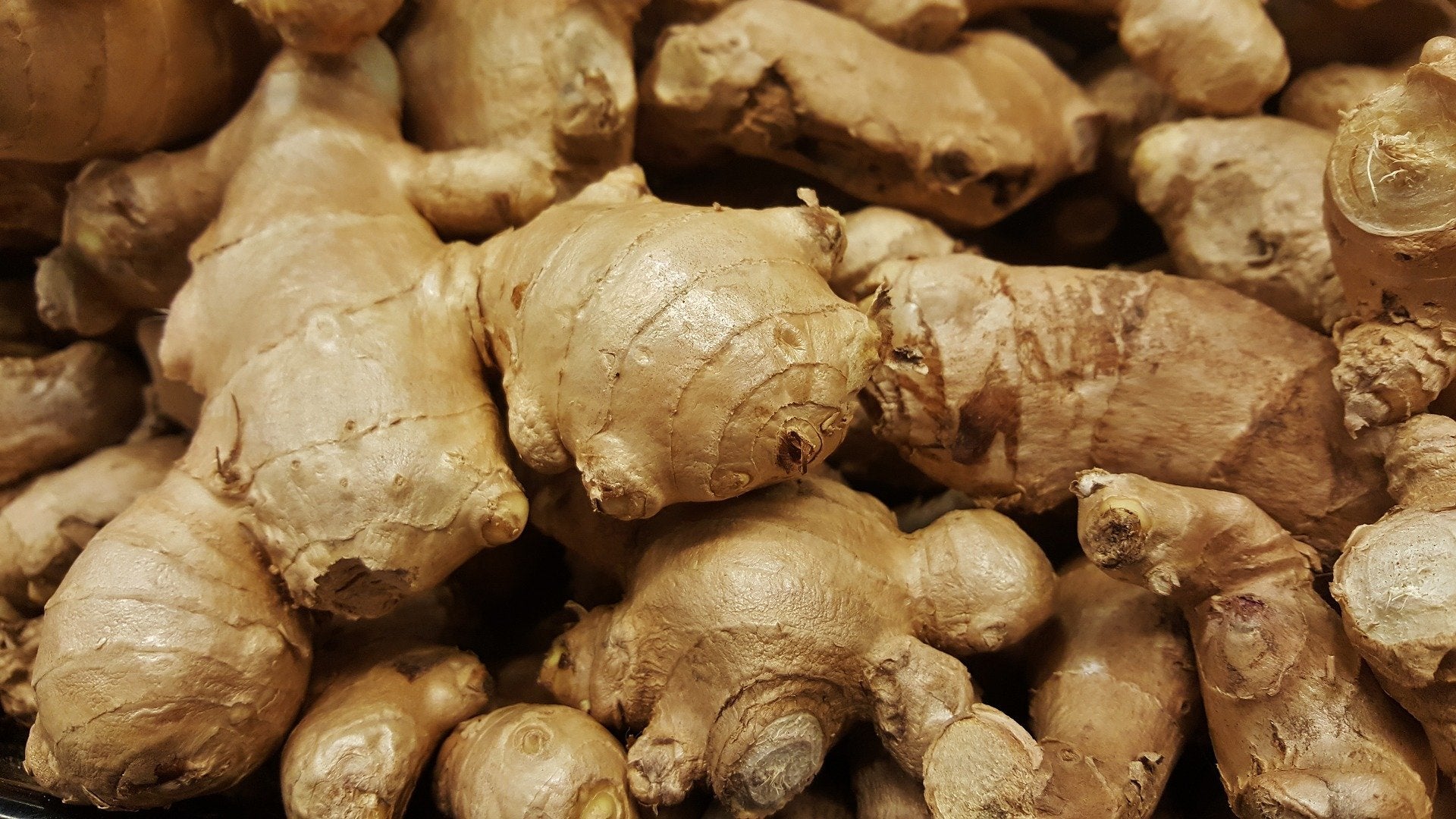 Ginger Oil